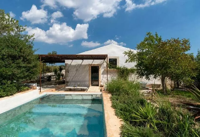 Bed and Breakfast Casa Balat