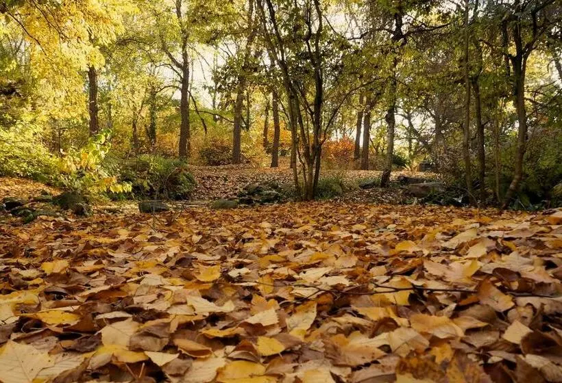 تختخواب و صبحانه Oetervallei