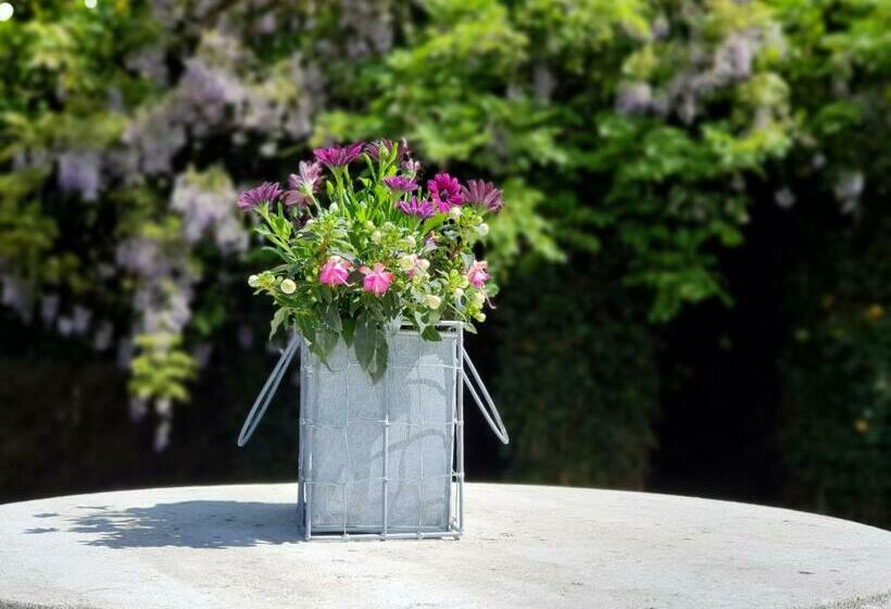 Bed & Breakfast Trouwborst