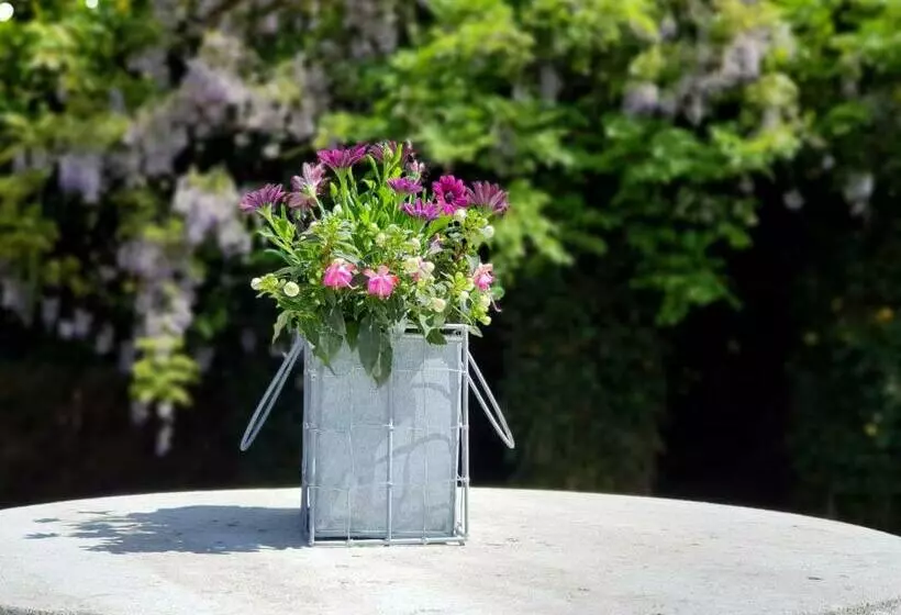 Bed & Breakfast Trouwborst