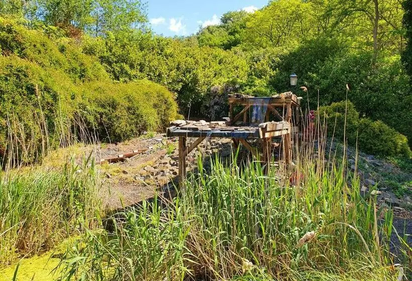 Bed & Breakfast Trouwborst