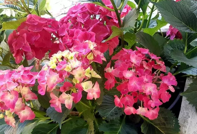 Majatalo La Rochelle