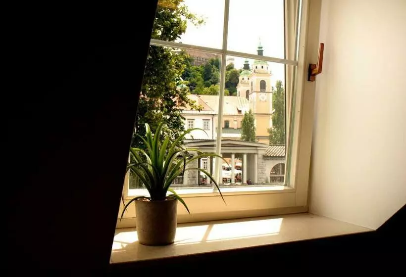 پانسیون Petkovšek Rooms And Apartments