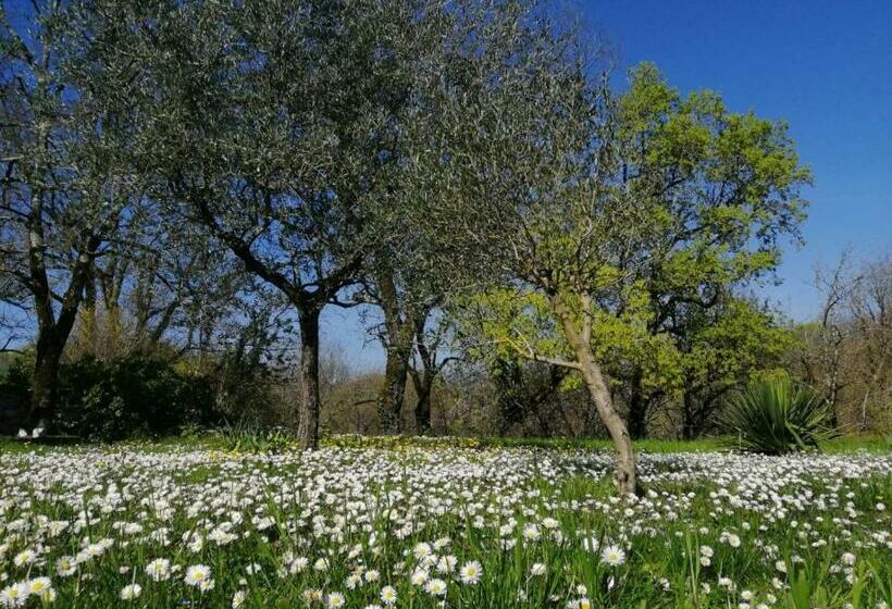 住宿加早餐  Domaine De Séguéla