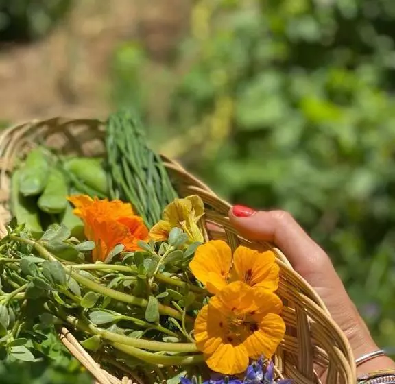 Aamiaismajoitus (B&B) Domaine De Séguéla