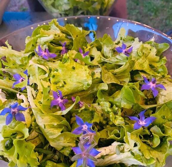 住宿加早餐  Domaine De Séguéla