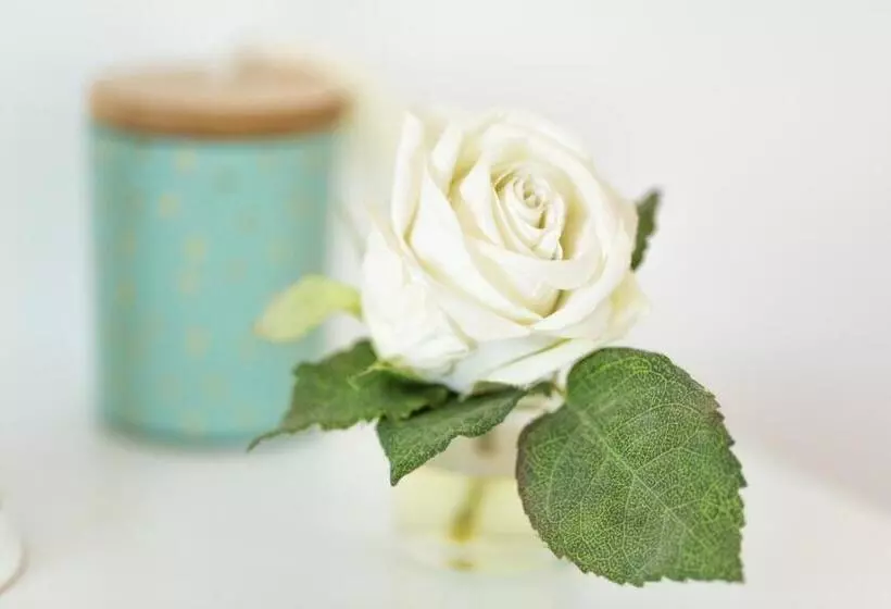 Aamiaismajoitus (B&B) La Tour De La Conterie