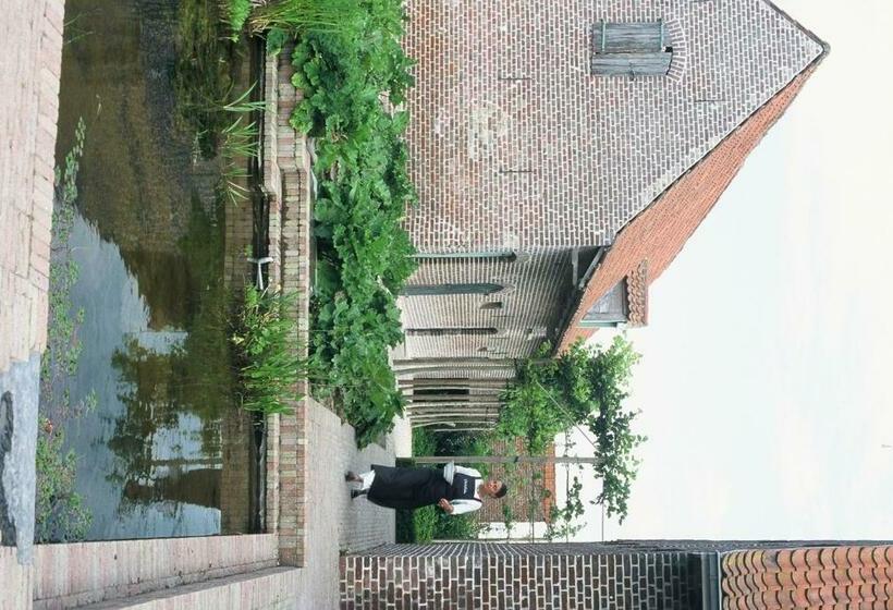 ベッドアンドブレックファースト Pahilleke