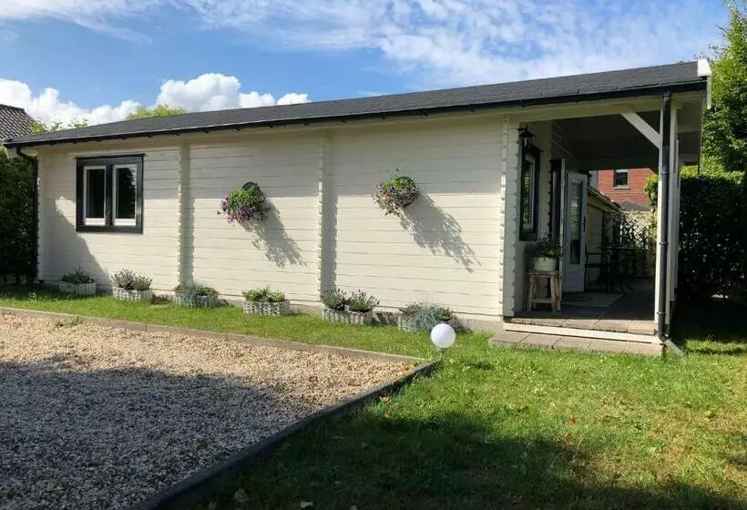 Bed & Breakfast Zevenhuizen