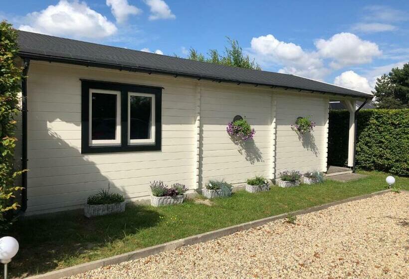 Bed & Breakfast Zevenhuizen