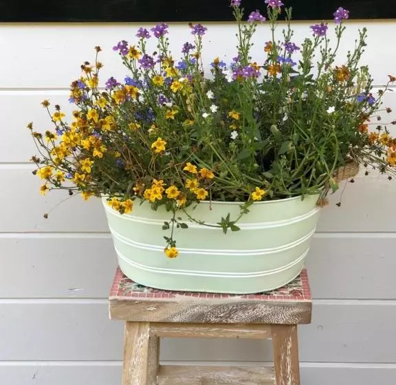 Bed & Breakfast Zevenhuizen