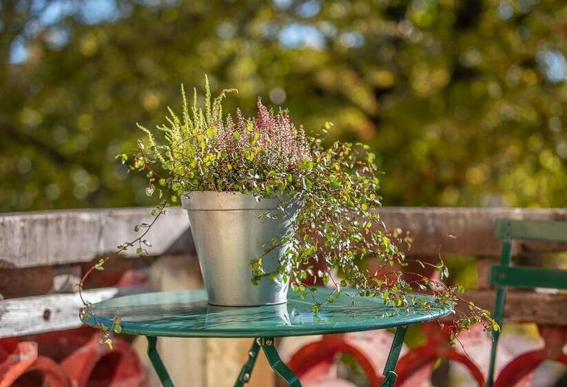 בית מלון כפרי L Station