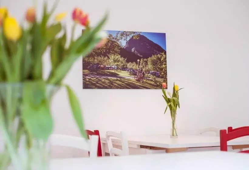 تختخواب و صبحانه Campingplatz Mittagsspitze