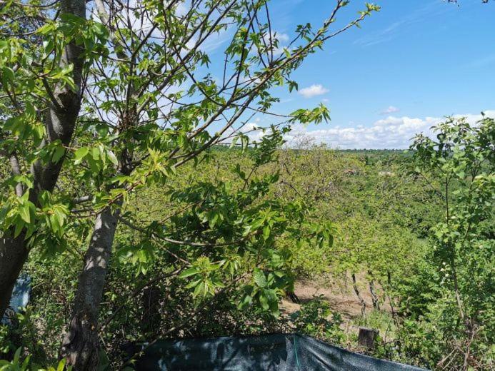 민박 Villa Di Charme Con Piscina E Jacuzzi Tra Roma E Viterbo