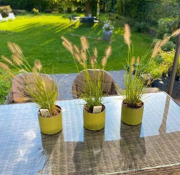 Aamiaismajoitus (B&B) La Demeure Marcquoise