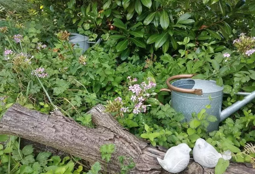 Aamiaismajoitus (B&B) La Maison O Kiwis   Chambres D Hôtes