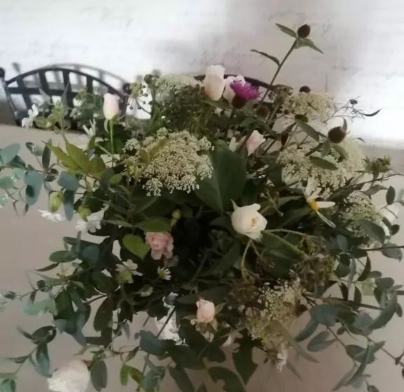 Aamiaismajoitus (B&B) La Maison O Kiwis   Chambres D Hôtes