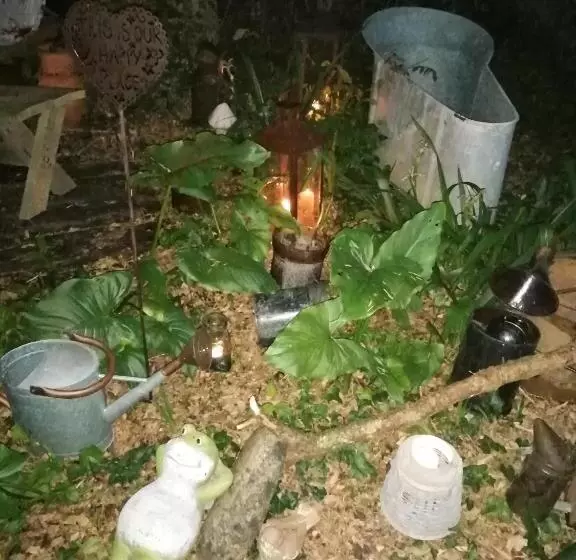 Aamiaismajoitus (B&B) La Maison O Kiwis   Chambres D Hôtes