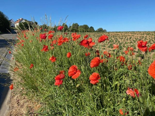 צימר Leen & Bruno S Namastay