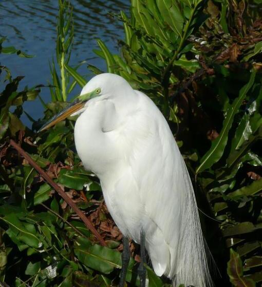 Bed and Breakfast Rae’s Place