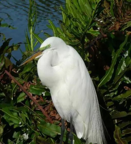 Aamiaismajoitus (B&B) Rae’s Place