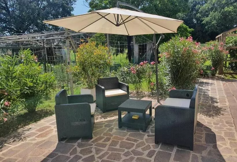 ホテル Agriturismo Monteroseo