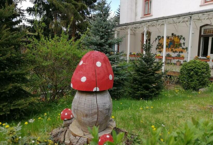 هتل Cafe Zur Talsperre