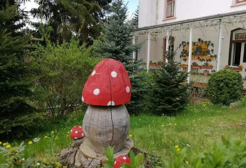 هتل Cafe Zur Talsperre