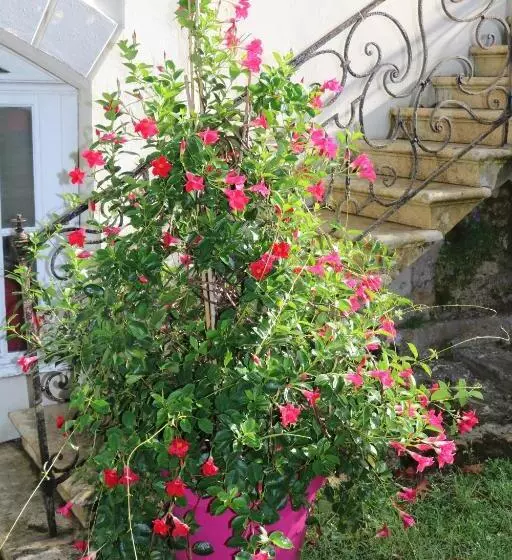 پانسیون Domaine De La Hure