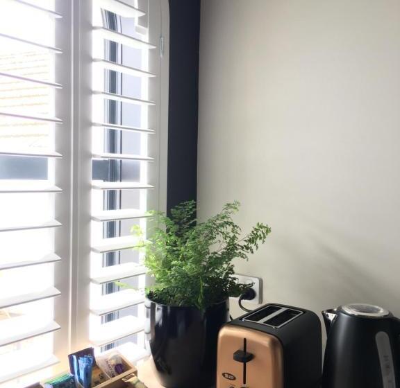 הוסטל The Stables Dunedin