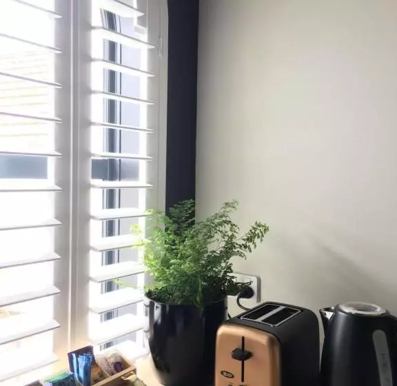 Retkeilymaja The Stables Dunedin