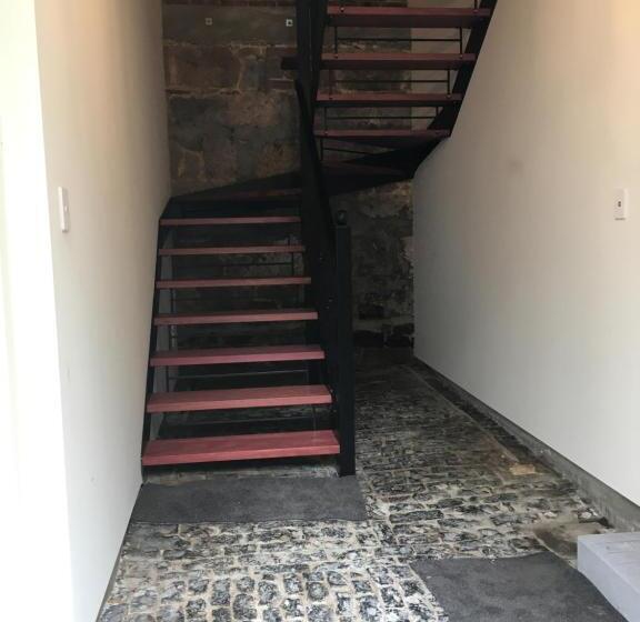 הוסטל The Stables Dunedin