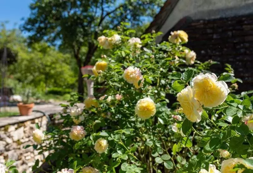 Aamiaismajoitus (B&B) Au Mas De Garet   Chambre D Hotes De Charme