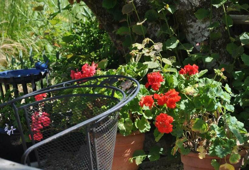 Bed and Breakfast Bienvenue Au Mas