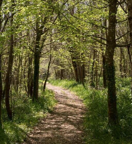 צימר Château De Bois Charmant