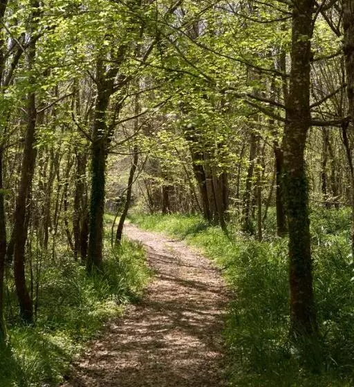 Aamiaismajoitus (B&B) Château De Bois Charmant