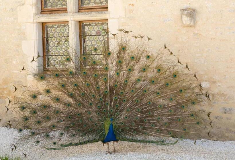 צימר Château De Bois Charmant