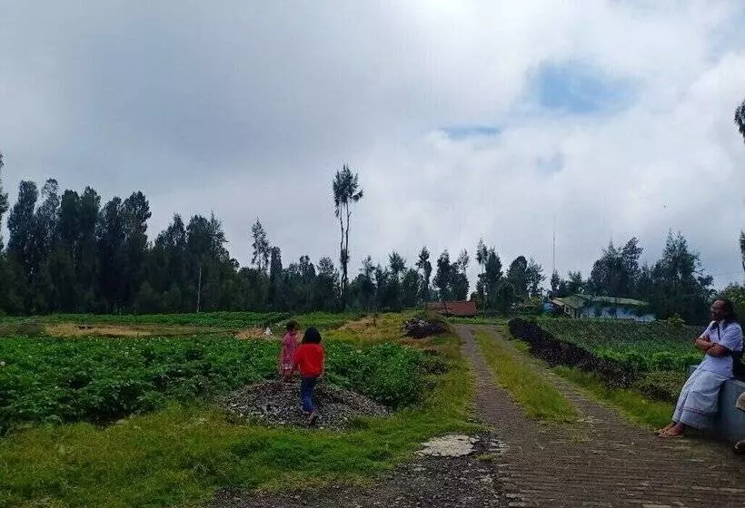 Majatalo Elen Homestay By Abm