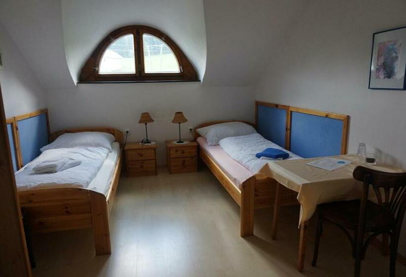 Общежитие Viehberghütte