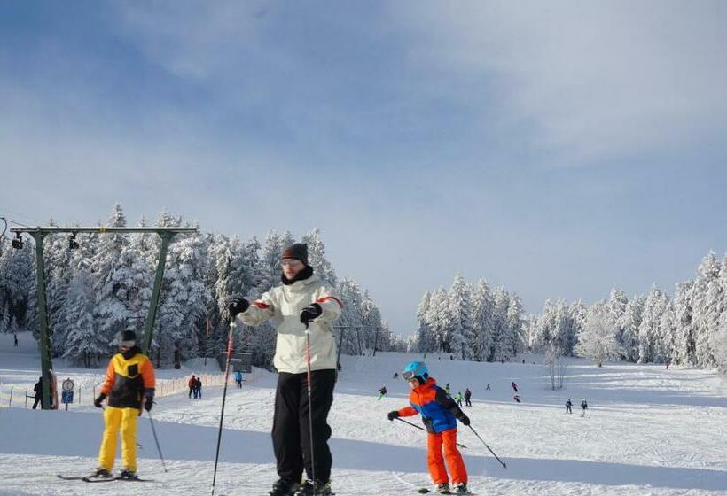 Общежитие Viehberghütte