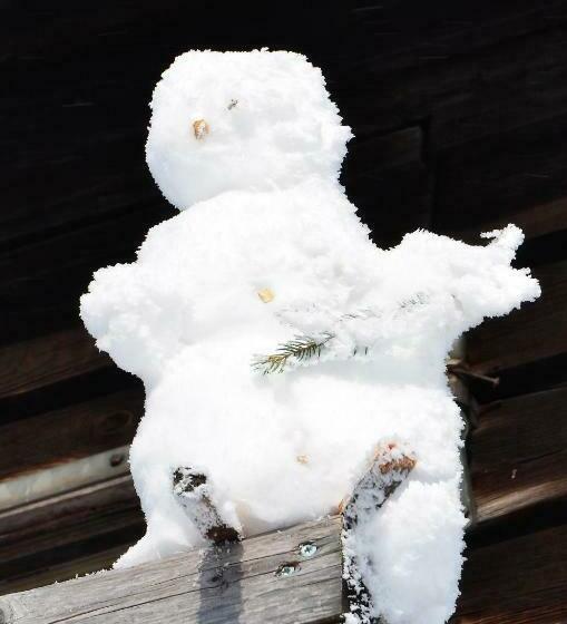 Общежитие Viehberghütte