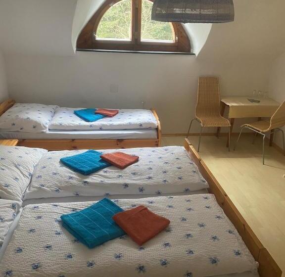 Общежитие Viehberghütte