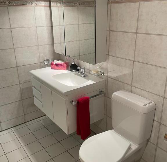 צימר Ferienwohnung Casa Ursin Val Lumnezia