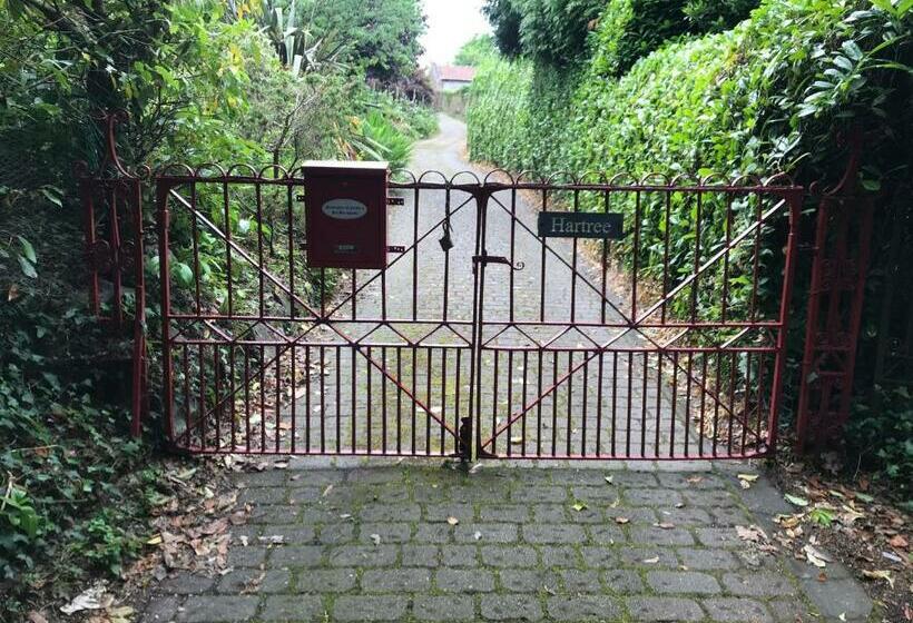 צימר Hartree Guest House