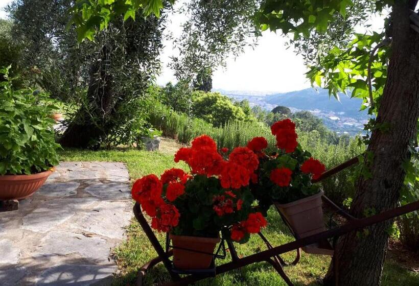 צימר La Gatta Sul Sentiero