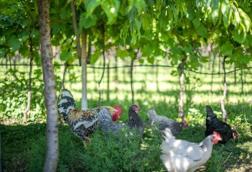 تختخواب و صبحانه Rösslhof