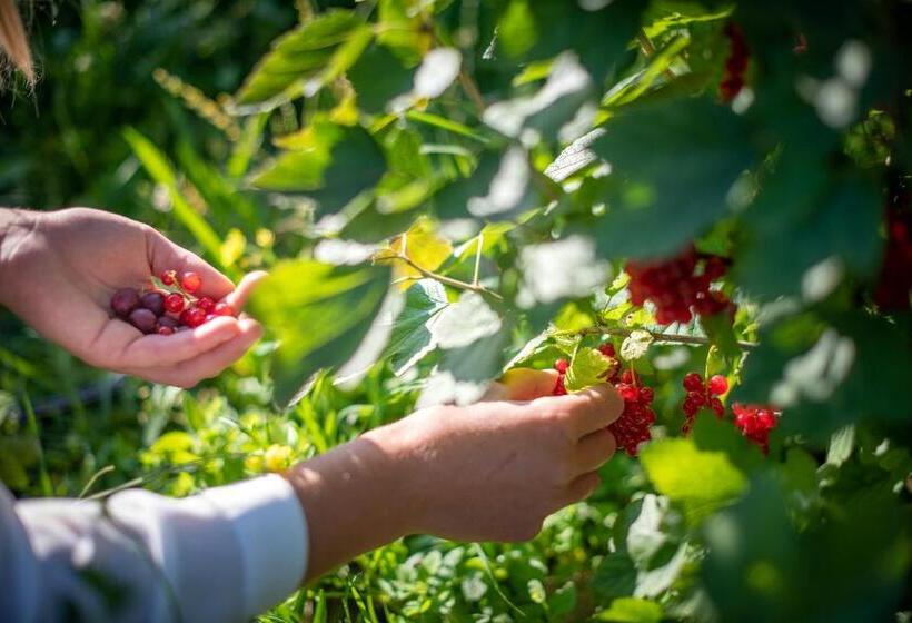 تختخواب و صبحانه Rösslhof