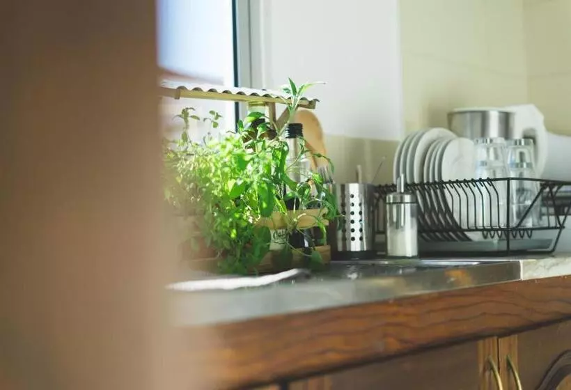 ベッドアンドブレックファースト Soulsurfcamp Portugal