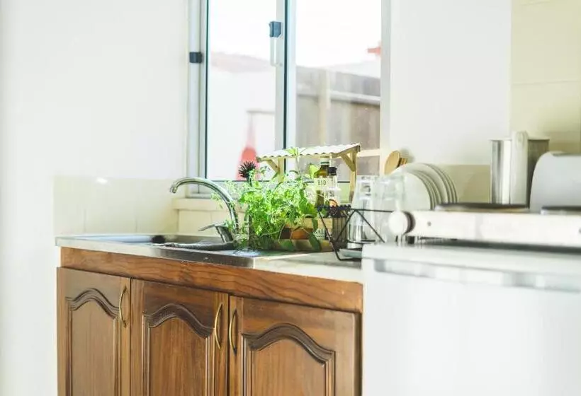 ベッドアンドブレックファースト Soulsurfcamp Portugal