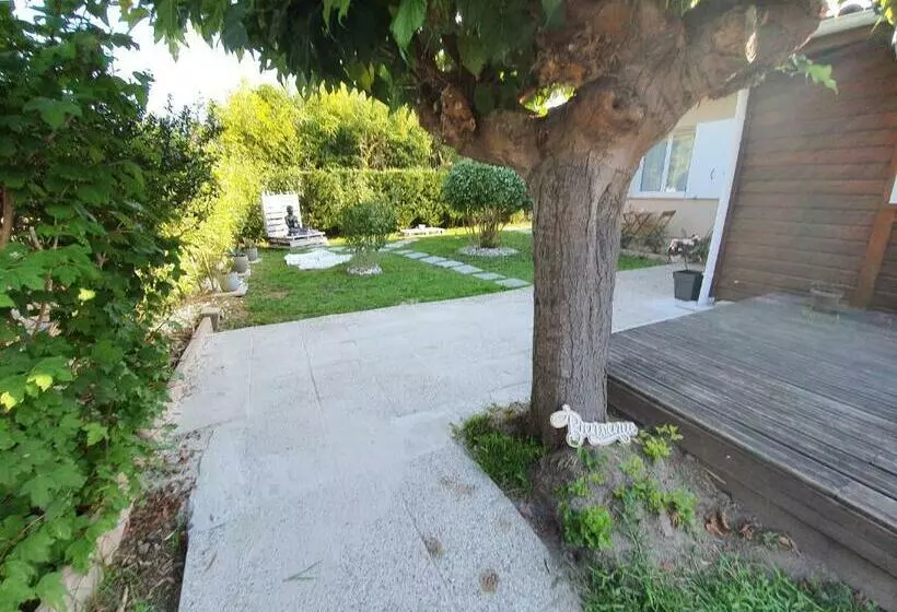 Aamiaismajoitus (B&B) Verolithos